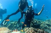 Scuba Diving in Tribe Gate