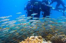 Scuba Diving in Tribe Gate