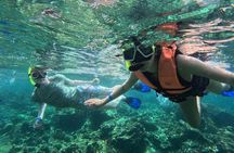 Full Day Snorkeling Tour to Koh Rok and Koh Haa from Koh Lanta