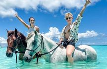 Zanzibar Horse Riding Adventure at Nungwi or Kendwa Beach