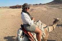 Hurghada Desert Safari by Jeep, Quad & Camel with Dinner & Show