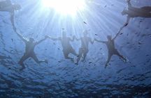 Small Group Elba Island Adventure Boat Tour and Sunset Dinner