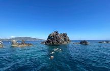 Small Group Elba Island Adventure Boat Tour and Sunset Dinner