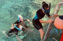 Small Group Elba Island Adventure Boat Tour and Sunset Dinner