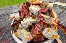 Learn to Catch and Cook Crab under Golden Gate Bridge SF