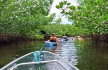 2-Hour Clear Kayak Mangrove Tunnel Eco Tour - Sarasota