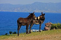 The Akamas Peninsula EcoTour Adventure