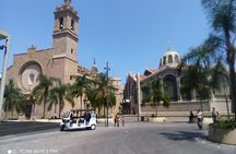 Tour Tuktuk Valencia 2H shared