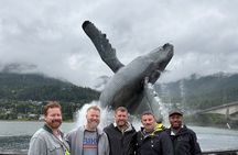 Juneau Private Sightseeing Tour with a Local