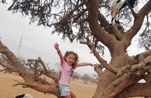 Goat on Tree and Cable Car Experience with Agadir Market