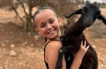 Goat on Tree and Cable Car Experience with Agadir Market