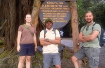 Mount Kilimanjaro Day Hike via Marangu Route – No Hidden Fees