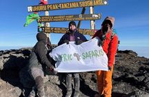 Mount Kilimanjaro Day Hike via Marangu Route – No Hidden Fees