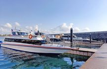 One Day Nusa Penida Island West & East