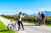 Bike The Wineries (1/2 Day) - Quick Pedal to Pinot