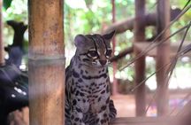 Private La Paz Waterfall Gardens & Starbucks Alsacia Coffee Tour