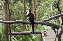 Private La Paz Waterfall Gardens & Starbucks Alsacia Coffee Tour