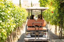 From Vineyard to Table: Wine Tasting & Neapolitan Lunch in Pompei