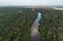 3 Day Amazon Jungle Adventure Wildlife Culture and Pink Dolphins