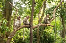 Ubud Monkey Forest - Rice Terrace - Jungle Swing - Water Temple