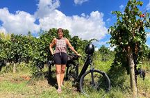Private Self-Guided E-Bike Ride in Tuscany with Vineyard Visit