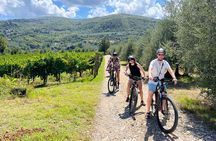 Private Self-Guided E-Bike Ride in Tuscany with Vineyard Visit