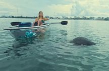 3-Hour Clear Kayak Beach Hopping Adventure in Sarasota