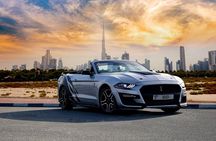 Dubai Cabrio Tour Adventure and Photoshoot in Convertible Mustang