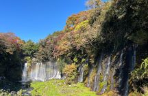 Shimizu Port Private Car Tour – Mt. Fuji & Local Highlights