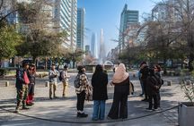 Las Condes Financial District Tour & Sky Costanera Observatory