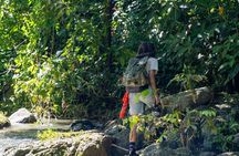 Jungle and Waterfall Adventure