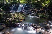Jungle and Waterfall Adventure