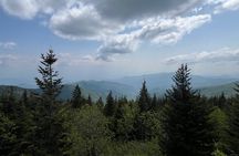 Guided Hike & Outdoor Painting Class in Smoky Mtns Nat’l Park