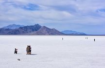 Explore Bonneville Salt Flats Journey to the Edge of the World