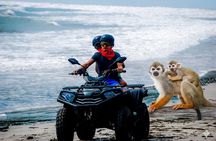 ATV off road monkeys & plantation tours from amber cove taino B