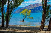Queenstown to Wanaka Small-Group Tour (one-way)