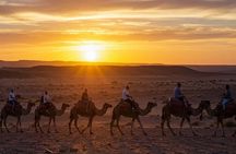 Marrakech: Agafay Desert ATV Quad Bike Camel Ride & Dinner Show