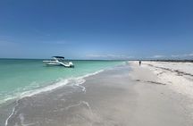 Private Dolphin Watching Beach Day Getaway