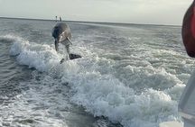 Private Dolphin Watching Beach Day Getaway