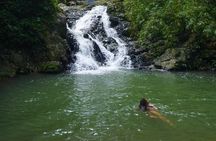 Jungle and Waterfall Adventure