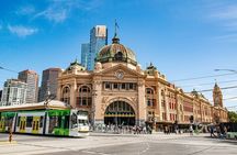 Melbourne Sightseeing Tour in Small Group