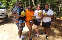 ATV, Horseback Riding Catamaran & Zipline Tour +Ocean Rafting