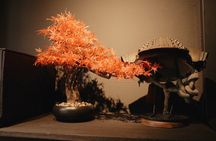 Traditional Japanese Knife Sharpening Class in Kyoto