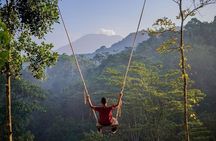 All Inclusives Bali Private Tour Temples Palaces and Nature 
