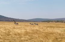 Akagera National Park Wildlife Experience