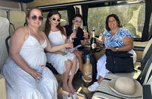 Santorini Private Island Tour by Golden Memories Tours