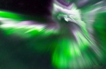 Tromsø: Northern Lights Adventure with Free Photos