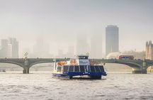 Thames Sightseeing Cruise with Flexible Time and Departure Pier
