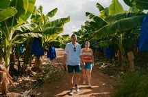 Shipwreck Sea Caves and Adonis Botanical Garden 