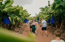 Shipwreck Sea Caves and Adonis Botanical Garden 